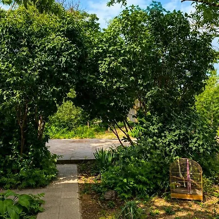 Vakantiehuis Sea View House